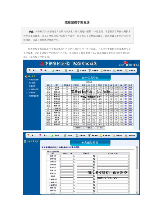 炼焦配煤专家系统