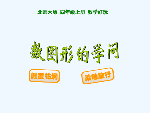 小学数学北师大2011课标版四年级数图形中的学问《鼹鼠钻洞》