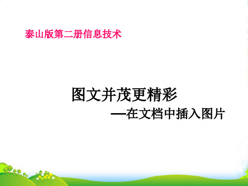 二年级信息技术下册 图文并茂更精彩 2课件 泰山版