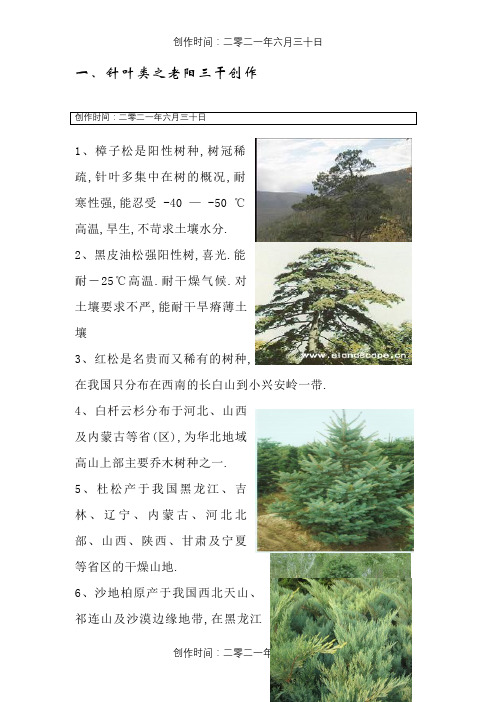 北方常见耐寒植物