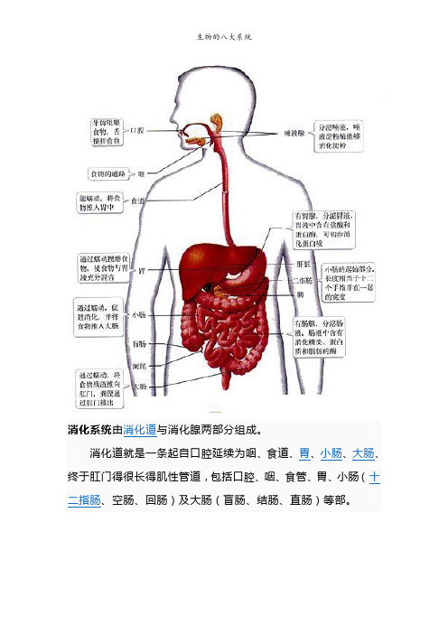 生物的八大系统