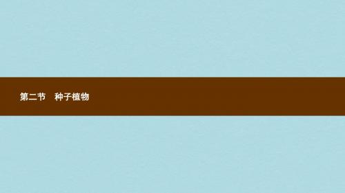 七年级生物上册3.1.2种子植物课件新版新人教版