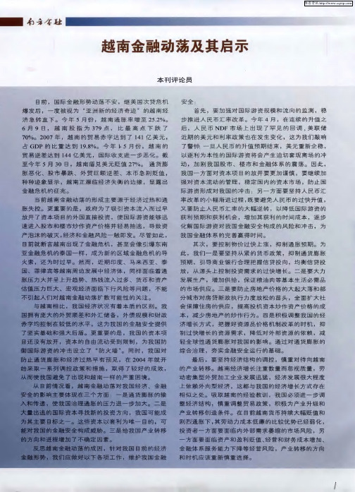 越南金融动荡及其启示