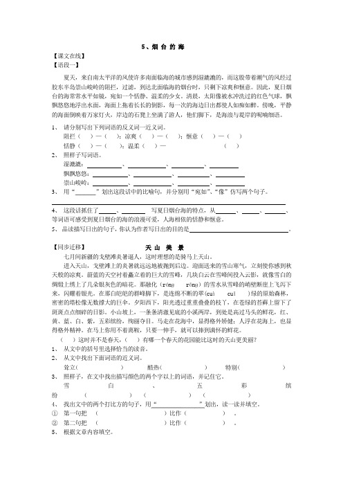 人教版小学六年级语文下册金牌阅读提优训练      第 二单 元      5、烟 台 的 海