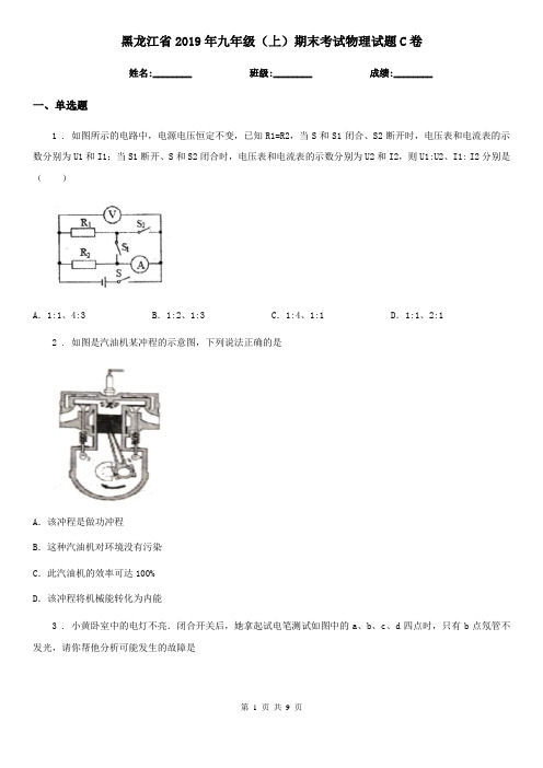 黑龙江省2019年九年级(上)期末考试物理试题C卷