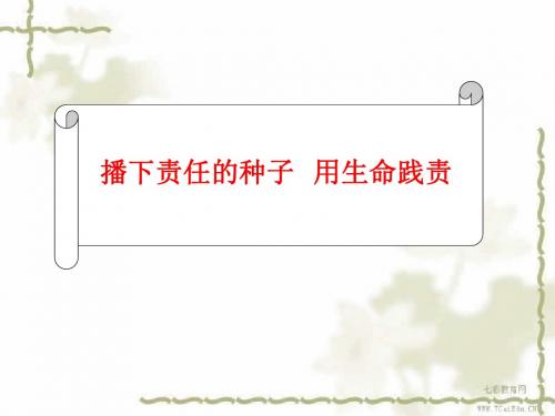 政治九年级人民版第五课这是我的责任课件.
