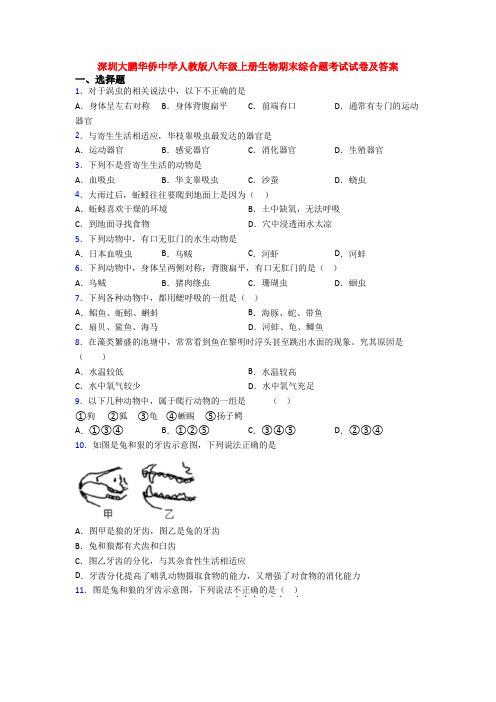 深圳大鹏华侨中学人教版八年级上册生物期末综合题考试试卷及答案