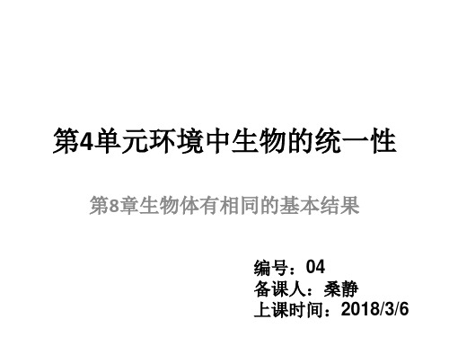 苏科版七年级生物下册：8生物体有相同的基本结构课件