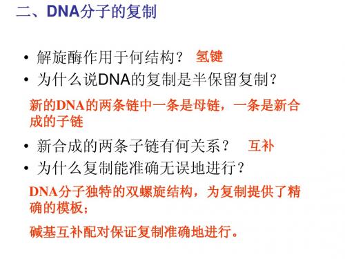 DNA结构和复制-高中三年级生物课件