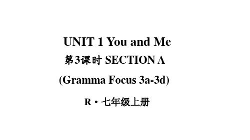 第3课时(SectionAGrammarFocus3a3d)