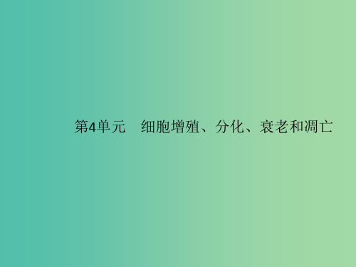 2020版高考生物一轮复习 4.1 细胞增殖课件 苏教版必修1