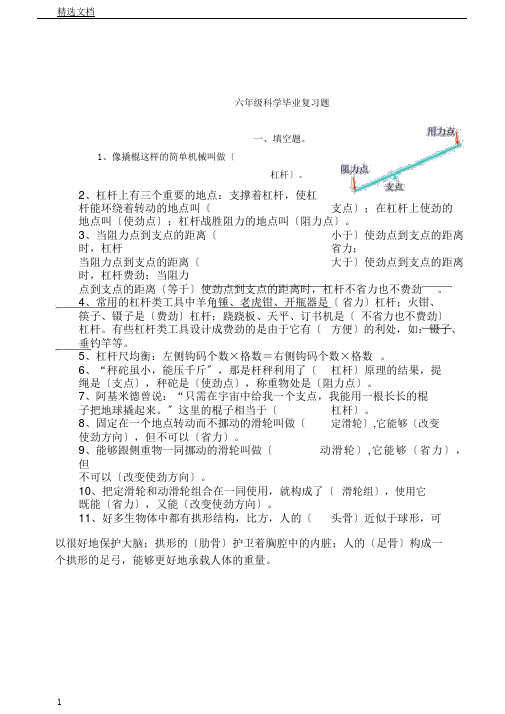 教科版科学六年级教学毕业总结复习计划题