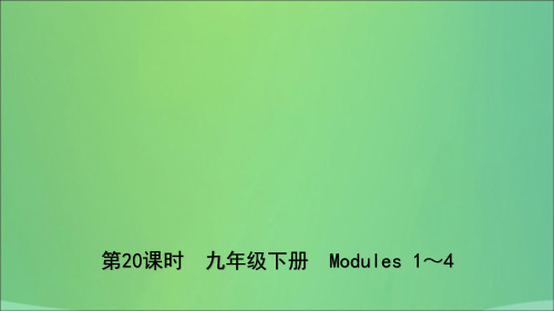 山东省德州市2019年中考英语总复习第20课时九下Modules1_4课件