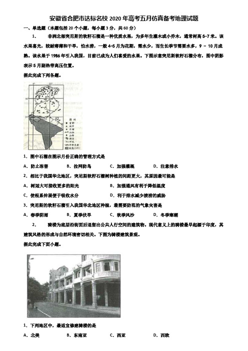 安徽省合肥市达标名校2020年高考五月仿真备考地理试题含解析