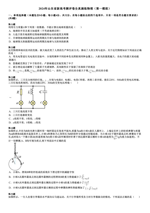 2024年山东省新高考测评卷全真演练物理(第一模拟)