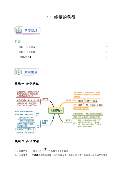 浙教版九年级科学上册4.4能量的获得(原卷版+解析)