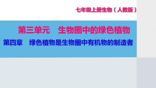 人教版七年级生物上册第三单元第4-6章习题课件