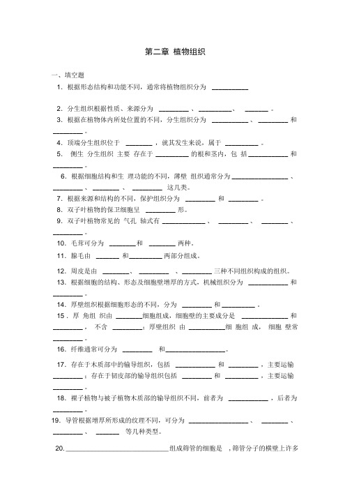 第二章植物组织