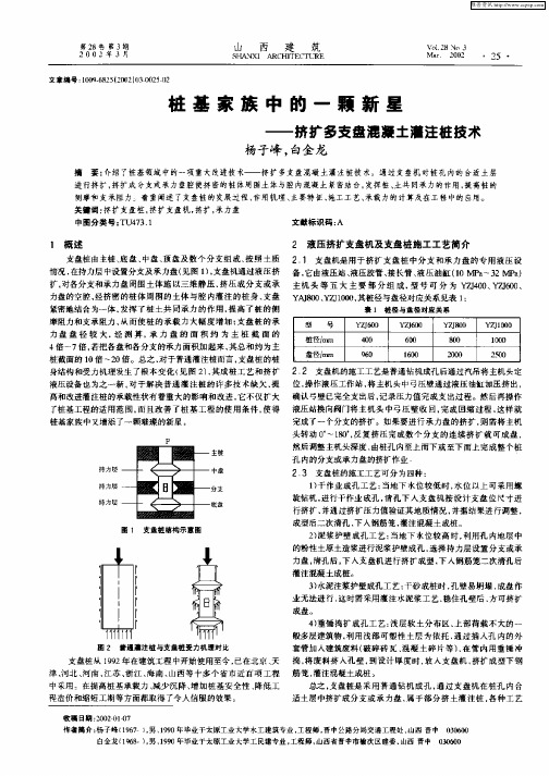 桩基家族中的一颗新星——挤扩多支盘混凝土灌注桩技术