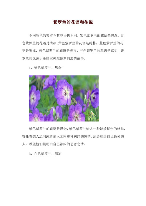 紫罗兰的花语和传说