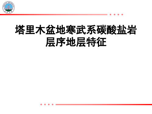 海相碳酸盐层序特征