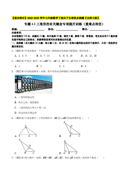 专题4-1三角形的有关概念专项提升训练(重难点培优)-(原卷版)【北师大版】