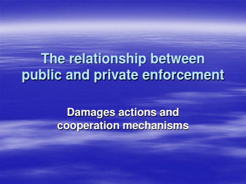 欧盟竞争法：公权和私权的执行 EU Competition Law Lecture Public and Private Enforcement