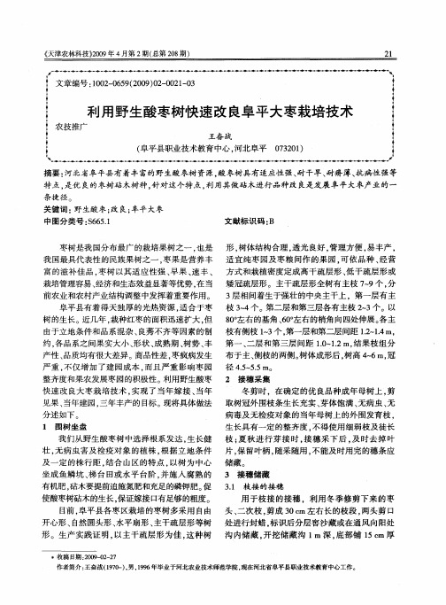 利用野生酸枣树快速改良阜平大枣栽培技术