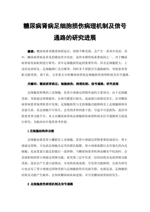 糖尿病肾病足细胞损伤病理机制及信号通路的研究进展