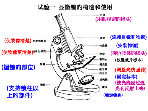 显微镜结构图及使用方法