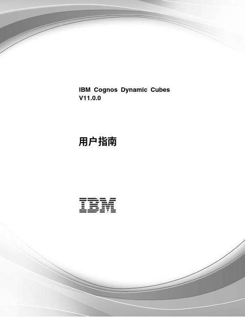 IBM Cognos Dynamic Cubes V11.0.0 用户指南说明书