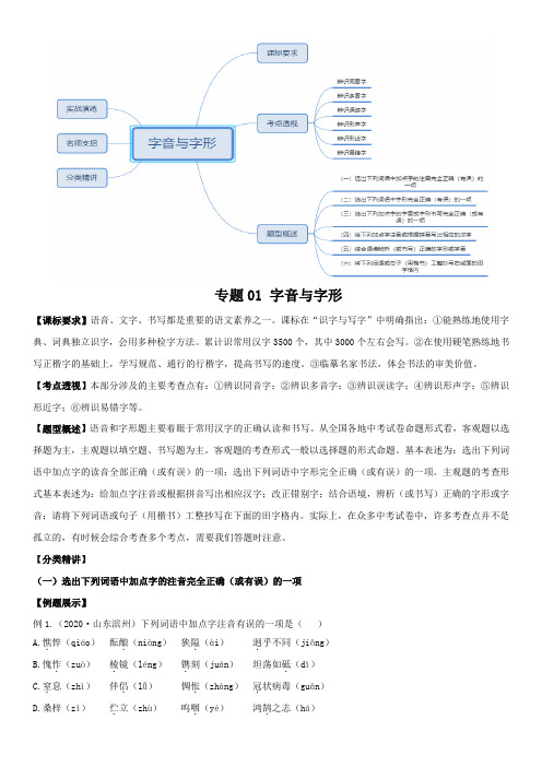 2021年中考一轮复习讲练测  01 字音字形(解析卷)