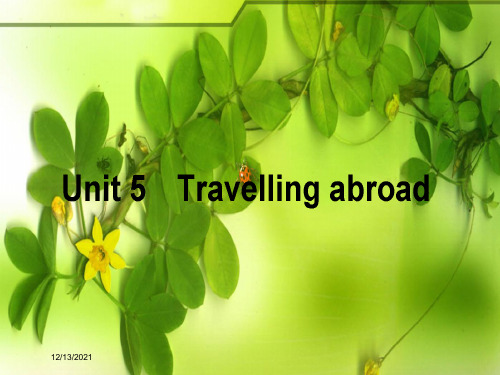 高考英语一轮复习构想 unit 5 travelling abroad课件