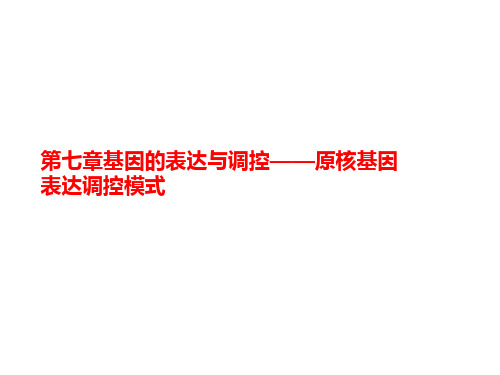 第七章基因的讲义表达与调控——原核基因表达调控模式