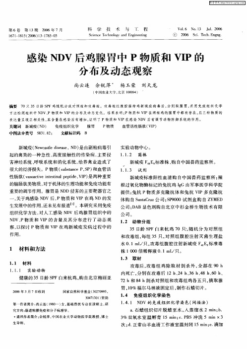 感染NDV后鸡腺胃中P物质和VIP的分布及动态观察