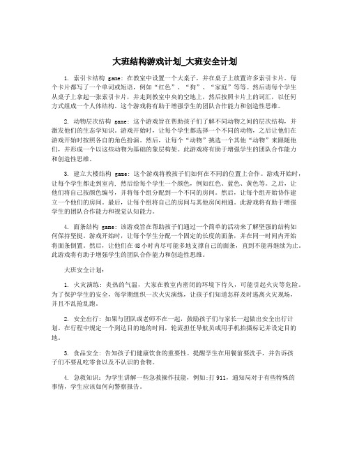 大班结构游戏计划_大班安全计划