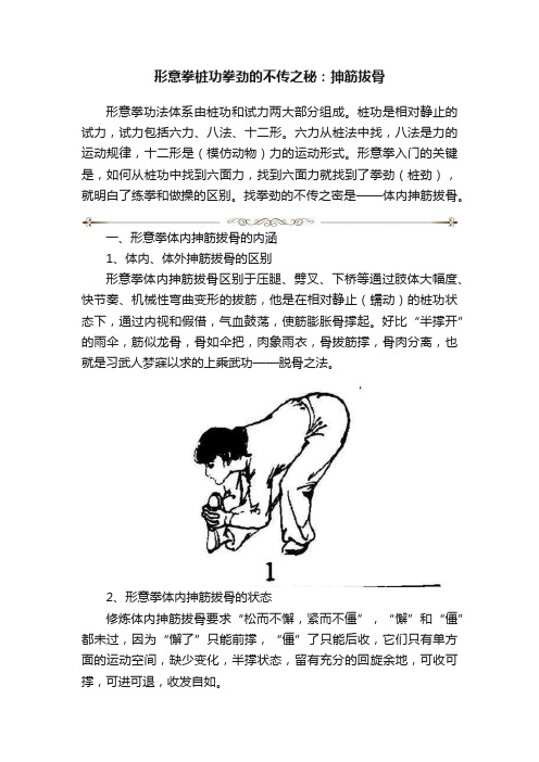 形意拳桩功拳劲的不传之秘：抻筋拔骨