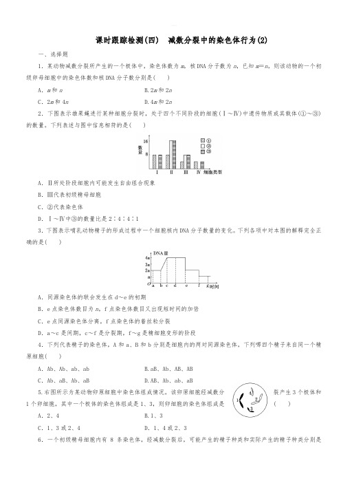 2018_2019年高中生物课时跟踪检测四减数分裂中的染色体行为2浙科版必修