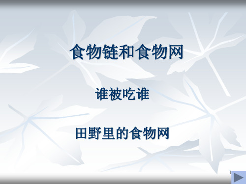 【最新】教科小学科学五年级上册《1.5、食物链和食物网》PPT课件(13).ppt