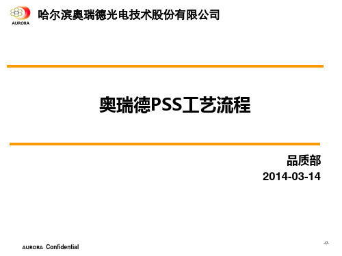 PSS工艺流程PPT课件