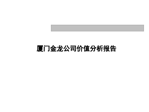 厦门金龙行业分析及诊断分析报告