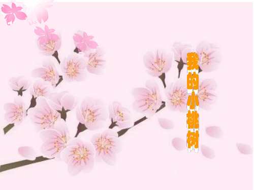 我的小桃树