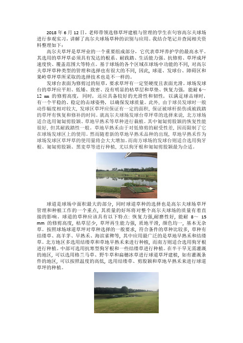 高尔夫球场实习报告
