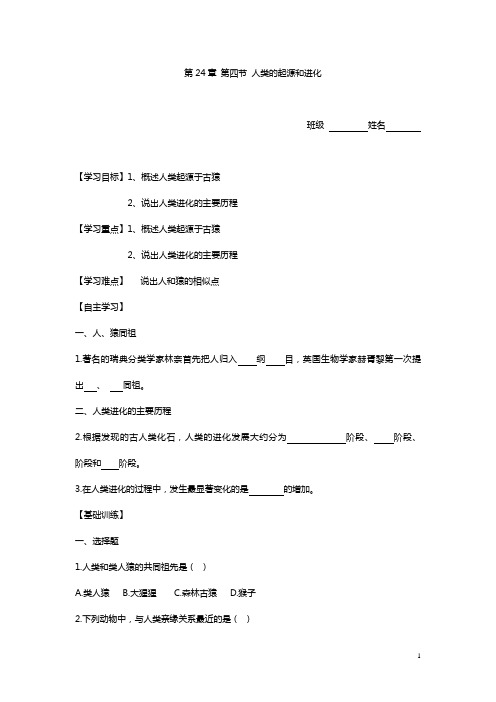 第24章 第四节 人类的起源和进化