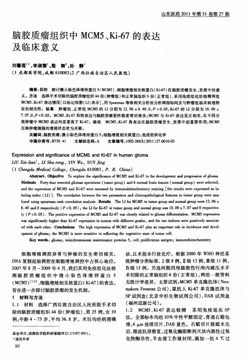 脑胶质瘤组织中MCM5、Ki-67的表达及临床意义