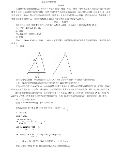 (中考数学专题)实验操作型专题.doc