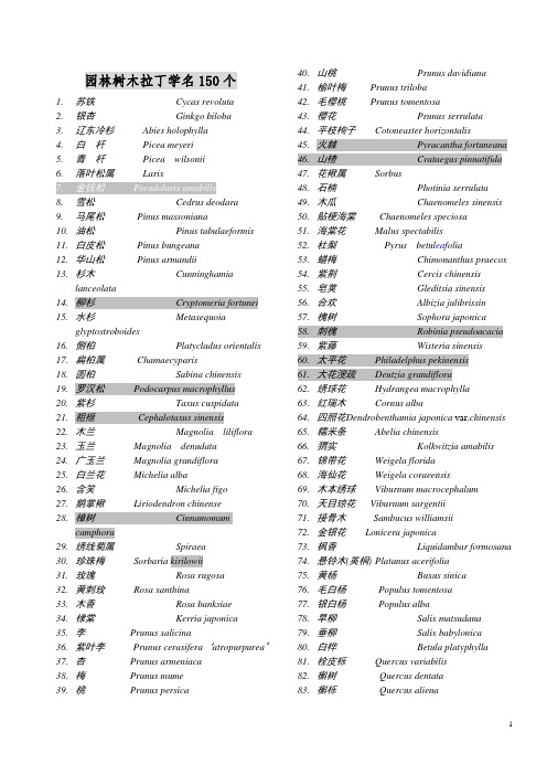 北林树木学150个必背拉丁名