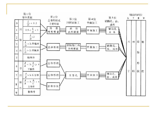 Opitz的基本结构图