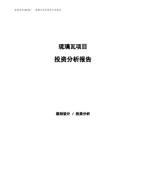 琉璃瓦项目投资分析报告