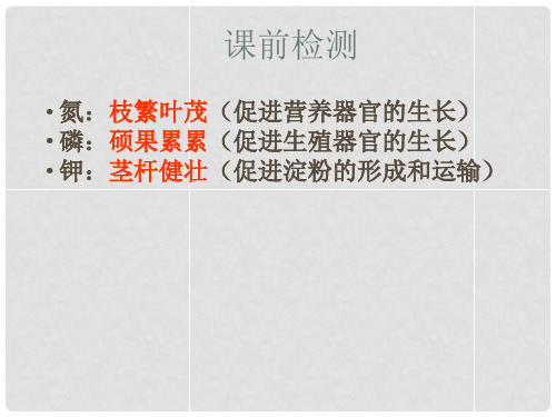 山东省高密市银鹰文昌中学八年级生物上册《第一章 绿色植物的一生》芽的类型和结构课件1 济南版